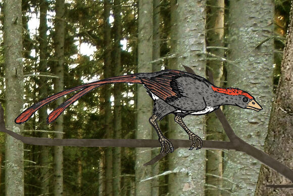 5 Dinosaurs That Had Beaks Instead of Teeth - NewsBreak