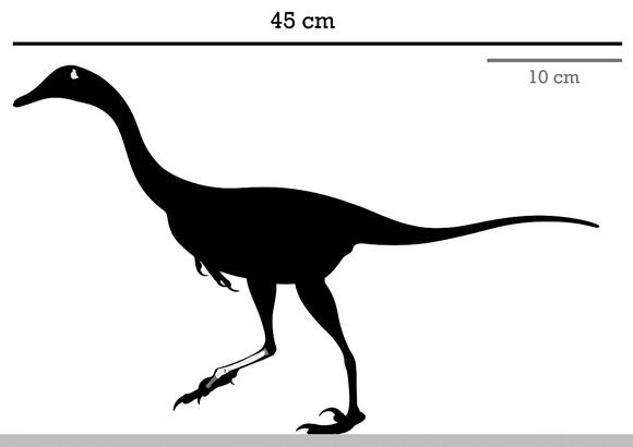 Halszkaraptor: The Semi-Aquatic Dino With a Swan Neck and Raptor Feet ...
