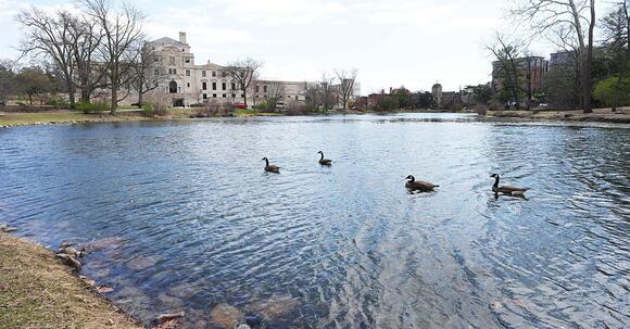  Iowa State's $5M reno of Lake LeVerne includes amphitheater, bridge Bildidee 