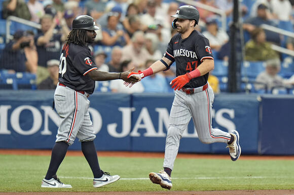 Twins Rays Baseball