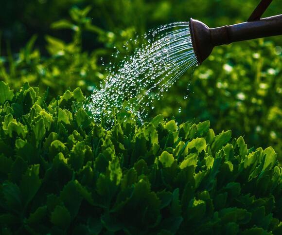 Don’t Be Fooled by This Warm Spell – ‘False Spring’ Could Wipe Out Your ...