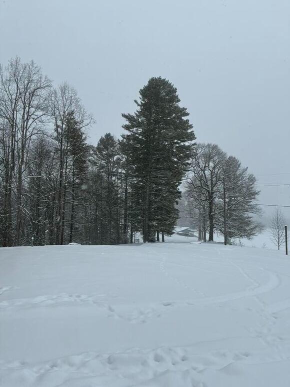Ashe County snowfall trends point to changing winters - NewsBreak
