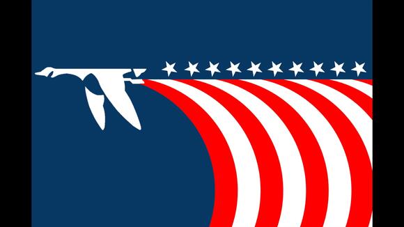 Zeeland student's patriotic flag design earns top 12 spot in national ...