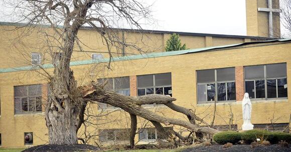 ⚠️ High winds topple poles and cut power in Batavia - NewsBreak
