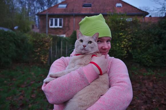How Do Cats Truly Choose Their Favorite Human in a Multi-Person Home ...