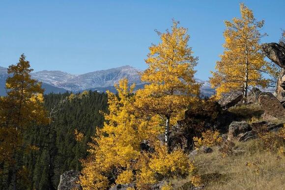 What To Do This Weekend in Wyoming 09/25-28/2026 - NewsBreak