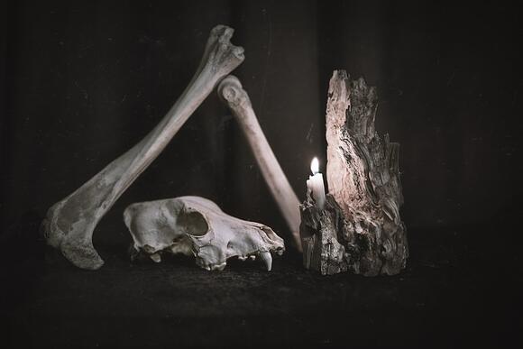 How Long Do Bones Last Before They Break Down Completely? - NewsBreak
