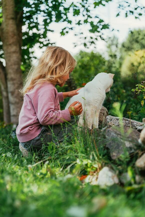 10-quiet-tricks-to-deepen-the-bond-with-your-cat-newsbreak