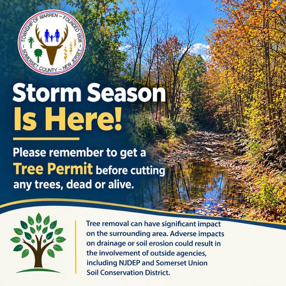 ⚠️ Warren residents must get permits before tree removal - NewsBreak
