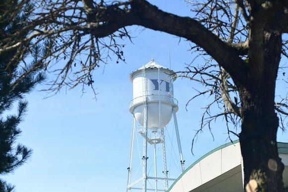 Yelm City Council unanimously approves 'clean-up' of language in Yelm ...