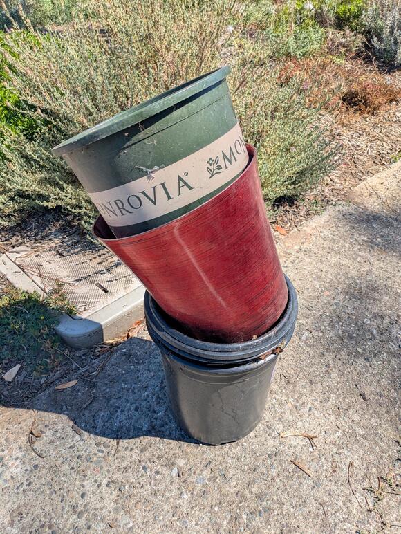 🎁 San Rafael Neighbors Are Sharing Free Items Today - NewsBreak