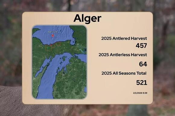 Michigan 2025 Deer Harvest Report: 83 County Breakdown - NewsBreak