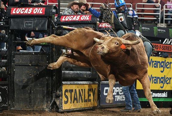 Billings cut from PBR's Unleash The Beast tour schedule - NewsBreak