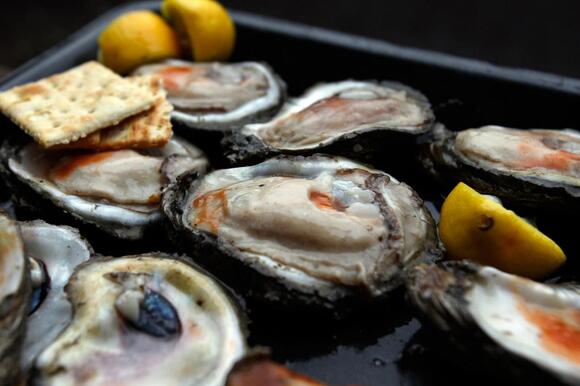 Hood Canal Shellfish Ban in Effect — Crab And Shrimp Are Not Affected ...