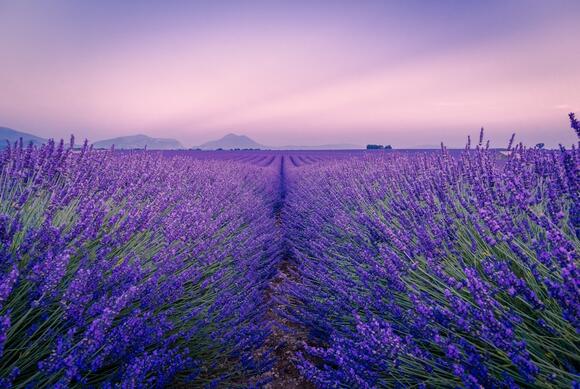 28-late-summer-destinations-that-peak-just-as-everything-else-winds