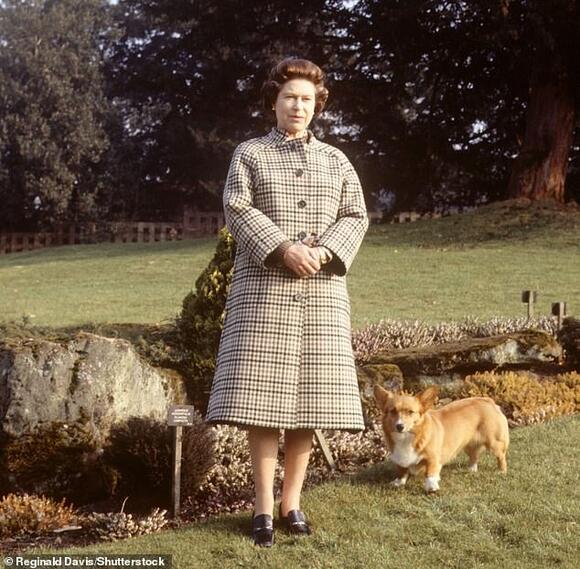 Prince Andrew and Princess Beatrice to take back corgis Muick and Sandy ...