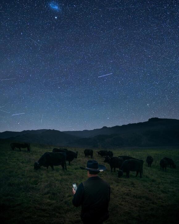 Halter Launches World-First Virtual Fencing via Satellite, Unlocking ...