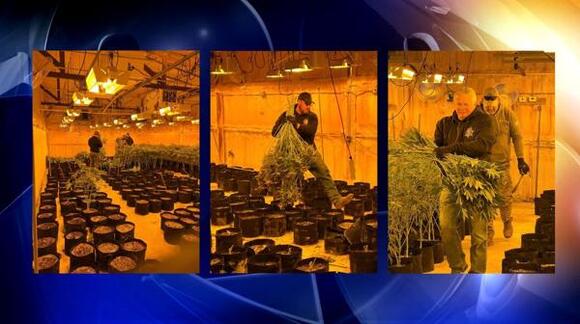 Authorities bust illegal marijuana grow operation in Haskell