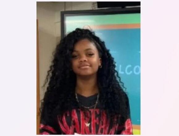 Police searching for missing 14-year-old girl last seen in Dundalk ...