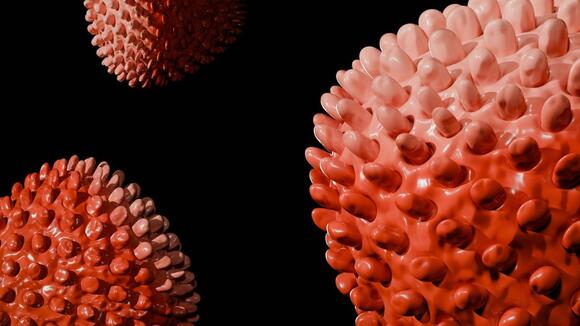 ‘The dendrimer acts like the Uber’: Researchers say a reworked tapeworm ...