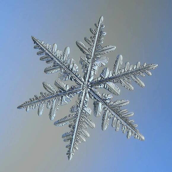 Why Snow Isn't Actually White, According to Physics - NewsBreak