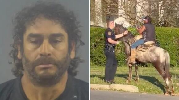 Kentucky Man Busted on DUI Charges for Riding His Horse While Allegedly ...