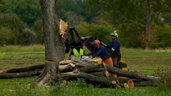 Judge smacks Trump with new ban on golf course tree work after apparent ...