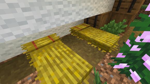 Minecraft 26.3: Everything new in the Wilderness Bound update - NewsBreak
