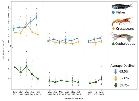 16 Years After Deepwater Horizon Spill, Deep Sea Life in The Gulf of ...