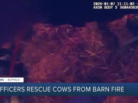 Officers rescue cows from barn fire on Saunders Settlement Road in ...