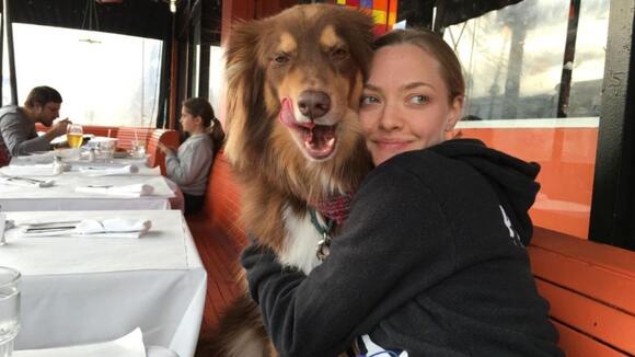 Amanda Seyfried Credits Rescue Dog Finn for Helping Her Through Tough ...