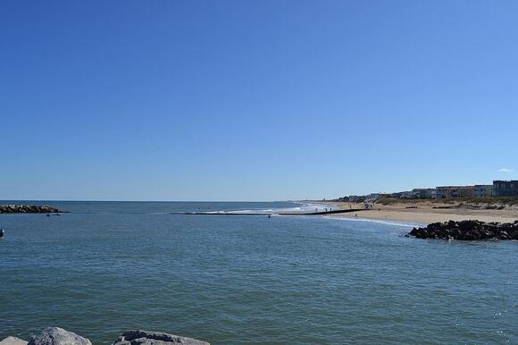 Best Coastal Towns for Dolphin Watching in the U.S. - NewsBreak