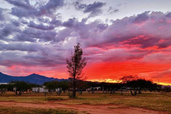 Arizona's Sunsets Aren't Random; There's Science Behind it! - NewsBreak