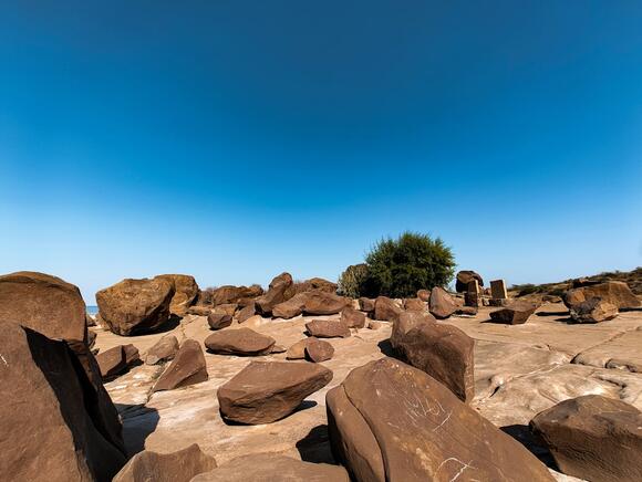 From Flesh to Stone: What It Takes to Make a Fossil - NewsBreak