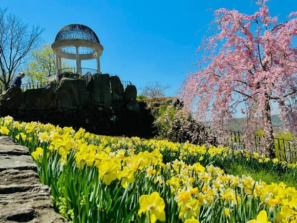 Spring Blooms with Events at Untermyer Gardens in Yonkers