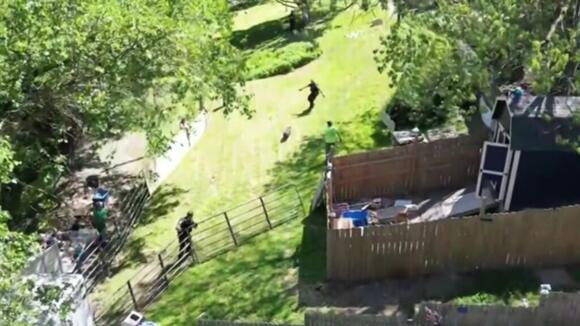 Police said they found over 50 pigs living in a home when they went to ...
