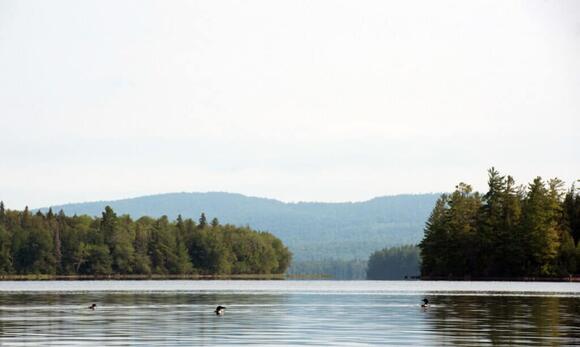 The Largest Landowner In New Hampshire - NewsBreak