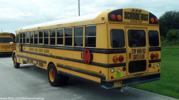 Why U.S. School Buses Have Black Stripes on the Sides — And What They ...
