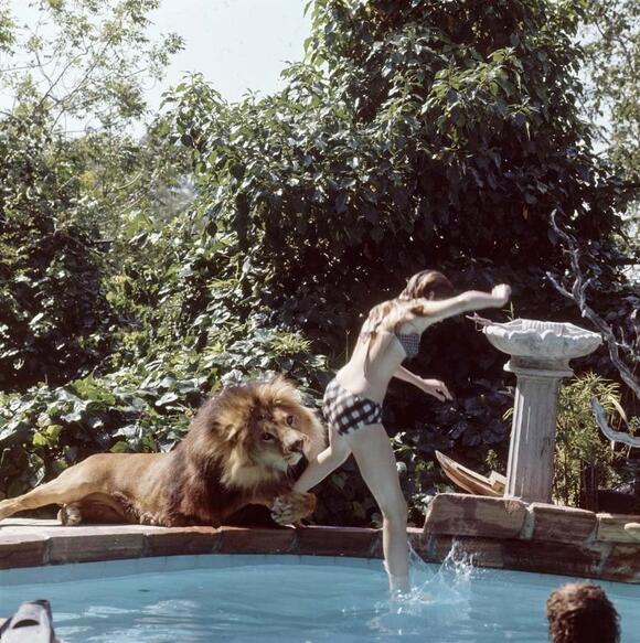 The Wild Story Of How Tippi Hedren And Her Family Lived With A 400 ...