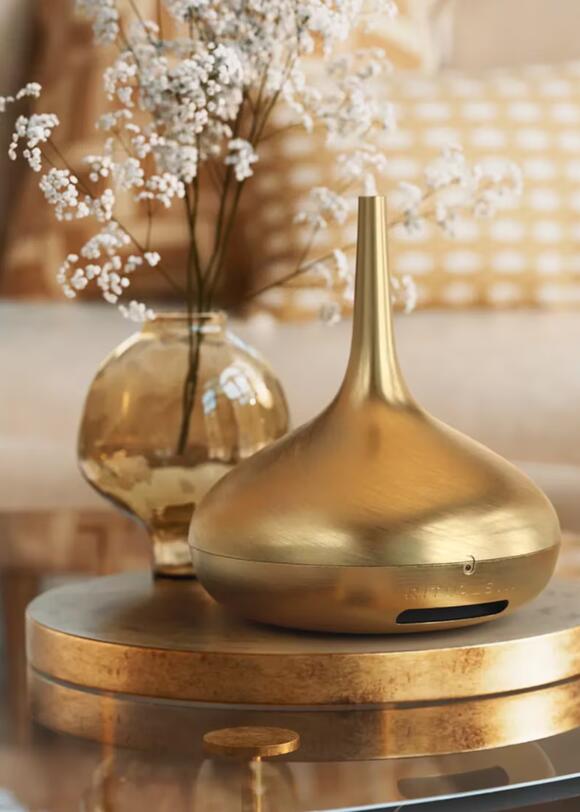 Reed Diffusers vs Electric Diffusers — Which Are Best? There's Not a ...