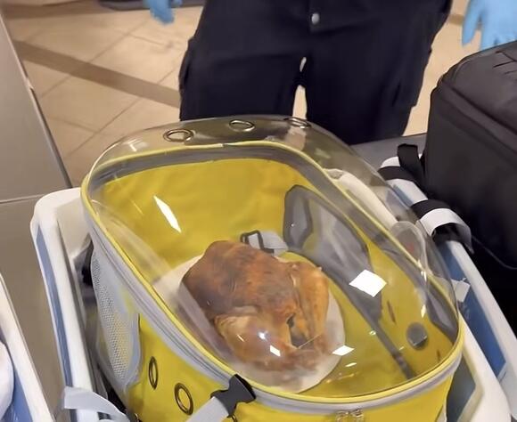 Traveler brings rotisserie chicken through airport security, TSA says ...