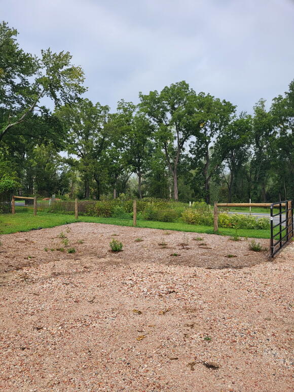 💰 Delaware awards $523K for 12 community environmental projects - NewsBreak