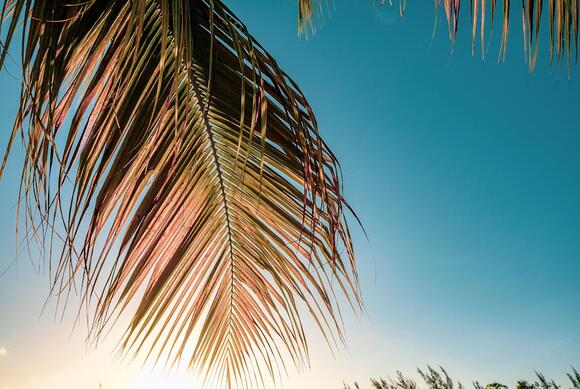 28 Tropical Cruise Ports With Beaches That Actually Live Up To The Hype ...