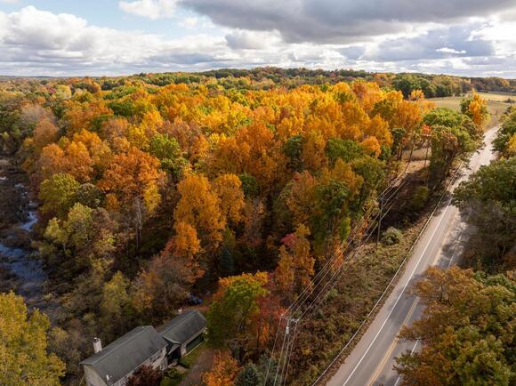 Where can you see Michigan's fall colors? Map, forecast, peak times ...