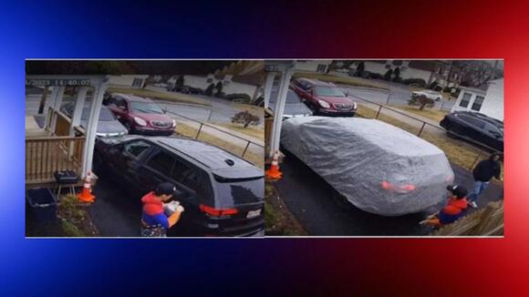 Man Pleads Guilty in $5M Theft Ring That Stole 120 Vehicles From ...