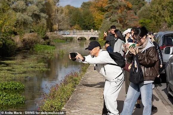 Japanese schoolgirl comic strip sparks rush of tourists to world's most ...
