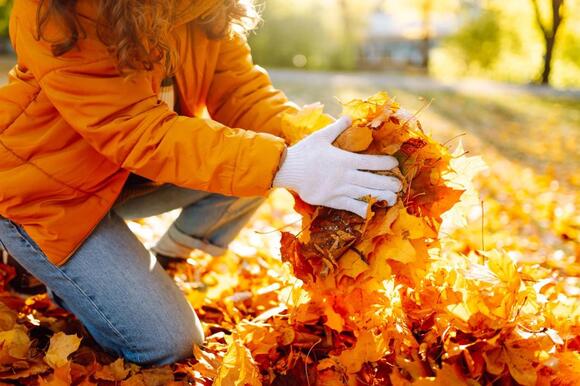 Great Falls Leaf Pickup Begins October 27 In Zone 1, Running Through ...