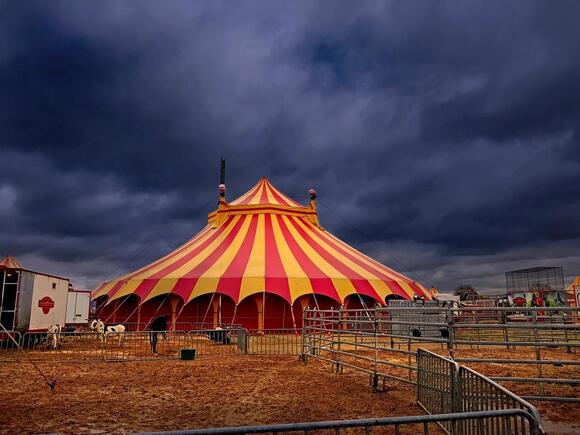 The Secret History Behind American Circus Culture - NewsBreak