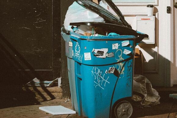 Michigan Hack: Sprinkle Two Spices in Your Trash to Banish Flies ...