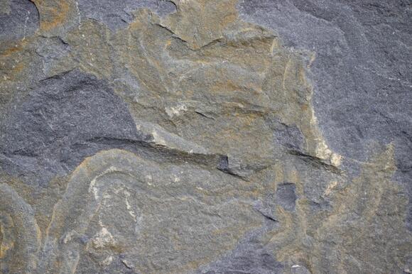 What The Dinosaur Project Got Right About Field Paleontology - NewsBreak